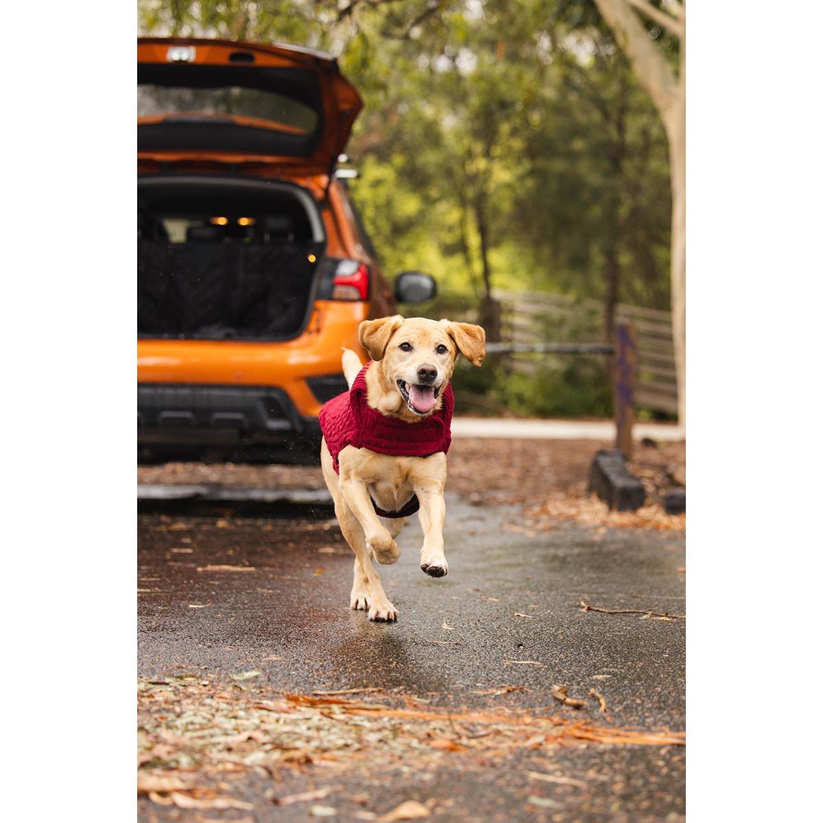 Ruff n Rugged The Woolly Dog Jumper Burgundy Red