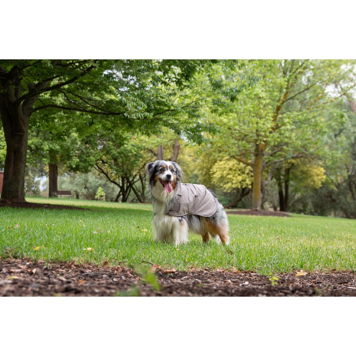 Ruff n Rugged Suedette Trench Dog Coat Taupe