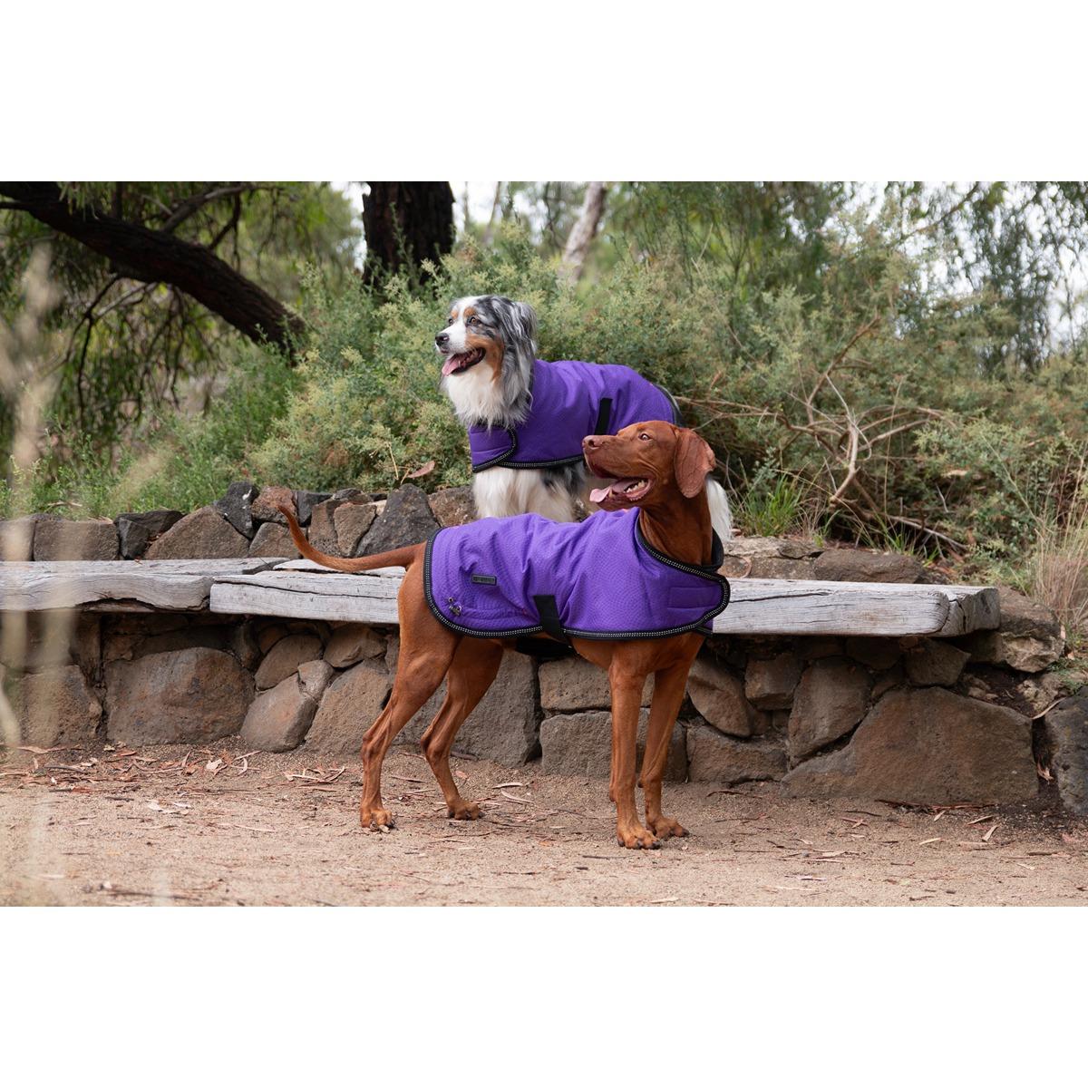 Ruff n Rugged Mortech Rambler Dog Coat Purple
