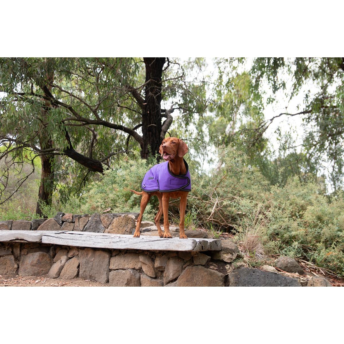 Ruff n Rugged Mortech Rambler Dog Coat Purple