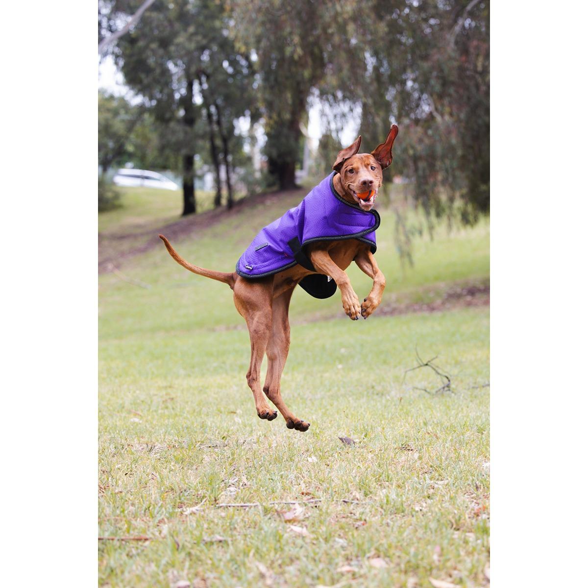 Ruff n Rugged Mortech Rambler Dog Coat Purple