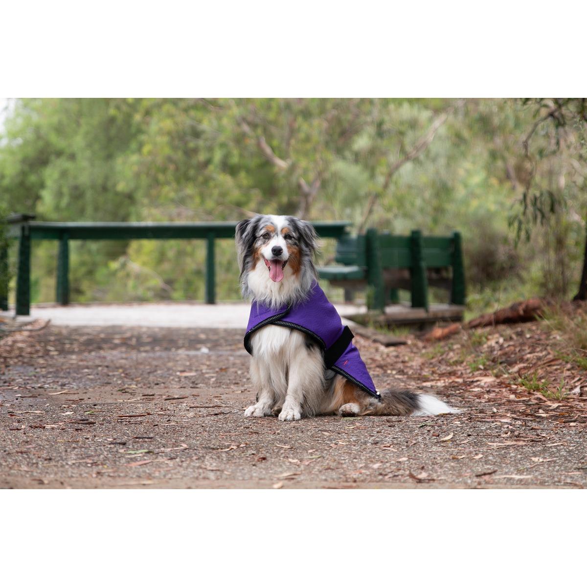 Ruff n Rugged Mortech Rambler Dog Coat Purple