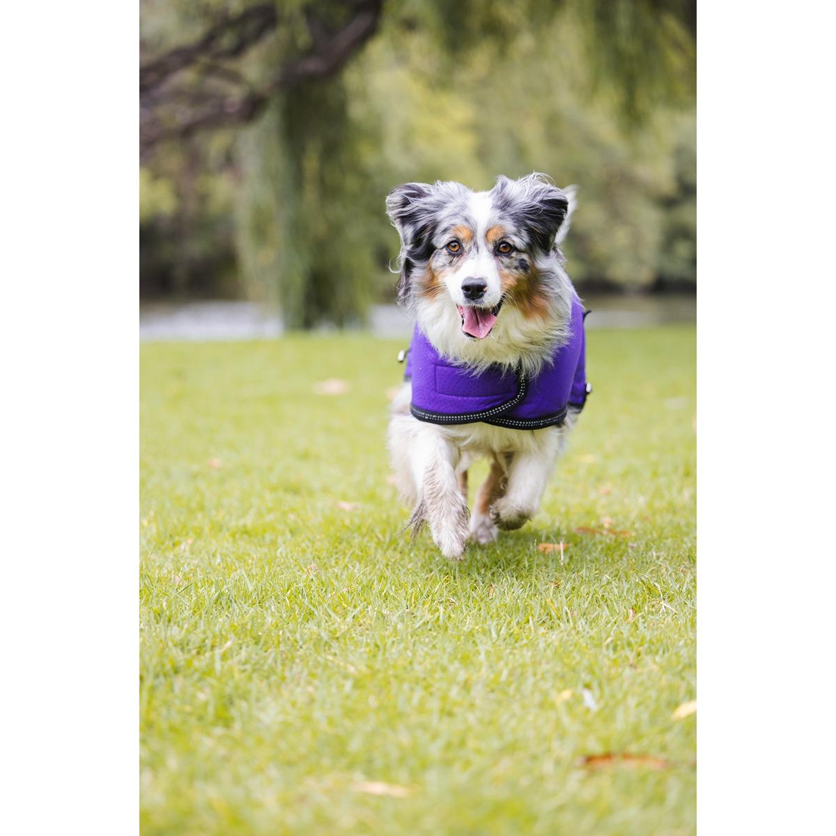 Ruff n Rugged Mortech Rambler Dog Coat Purple