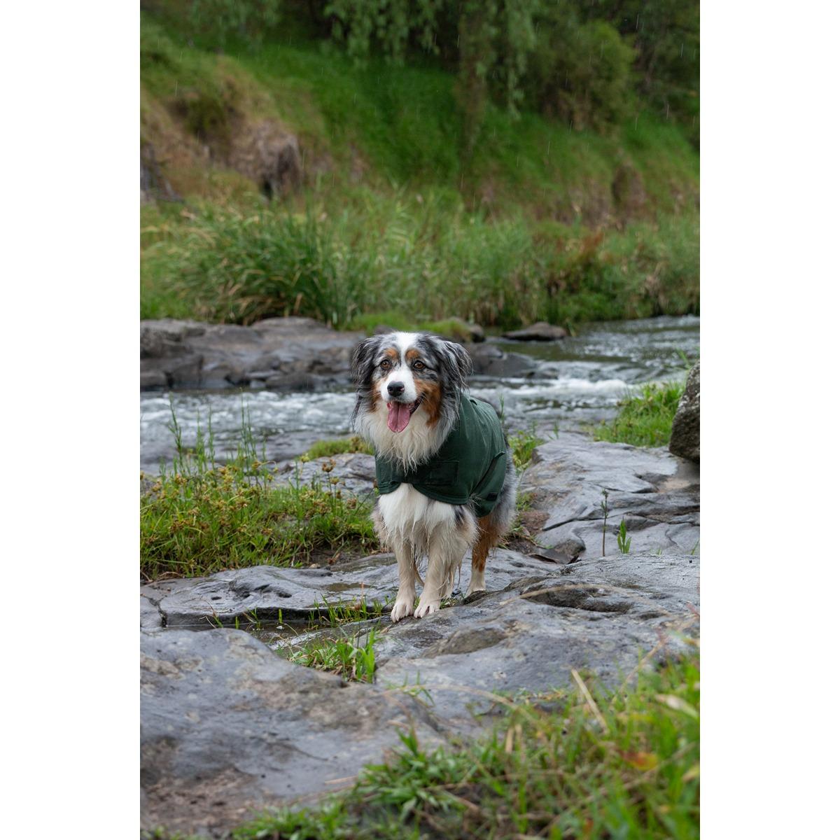 Ruff n Rugged Canvas Dog Coat Forest Green