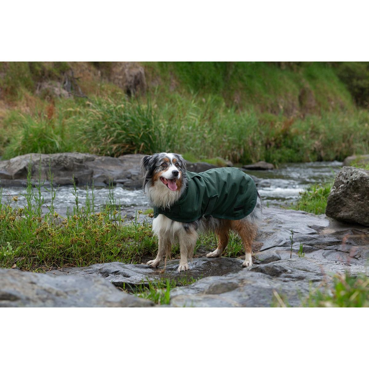 Ruff n Rugged Canvas Dog Coat Forest Green