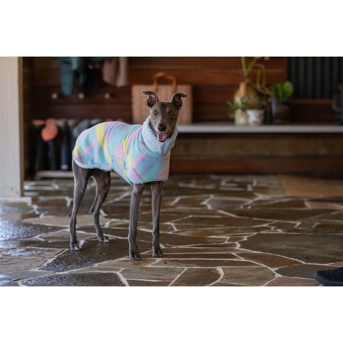 Wriggley Diggley Slumber Jack Dog Jumper Sweet Dreams
