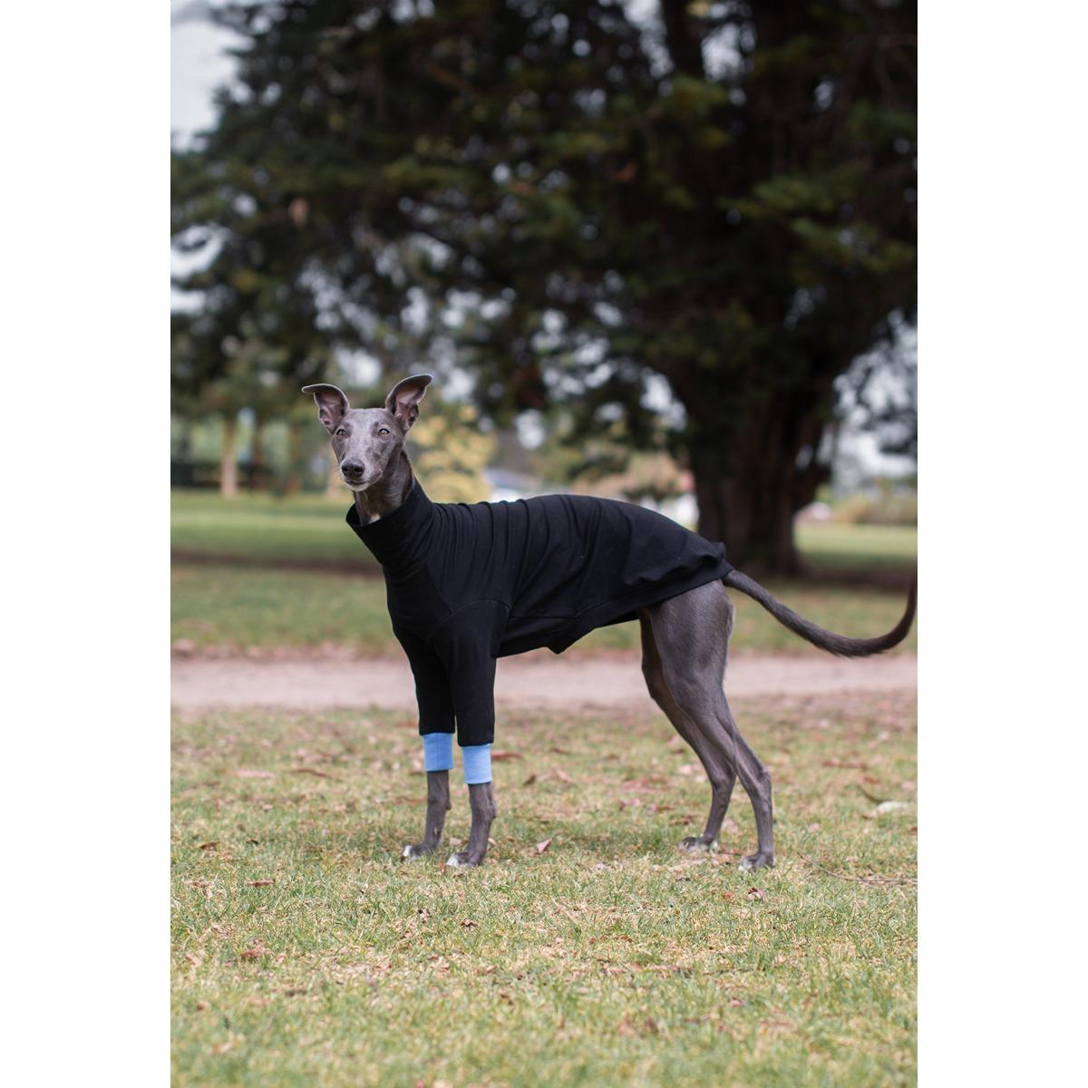 Wriggley Diggley All Day Long Dog Jumper Black/Blue