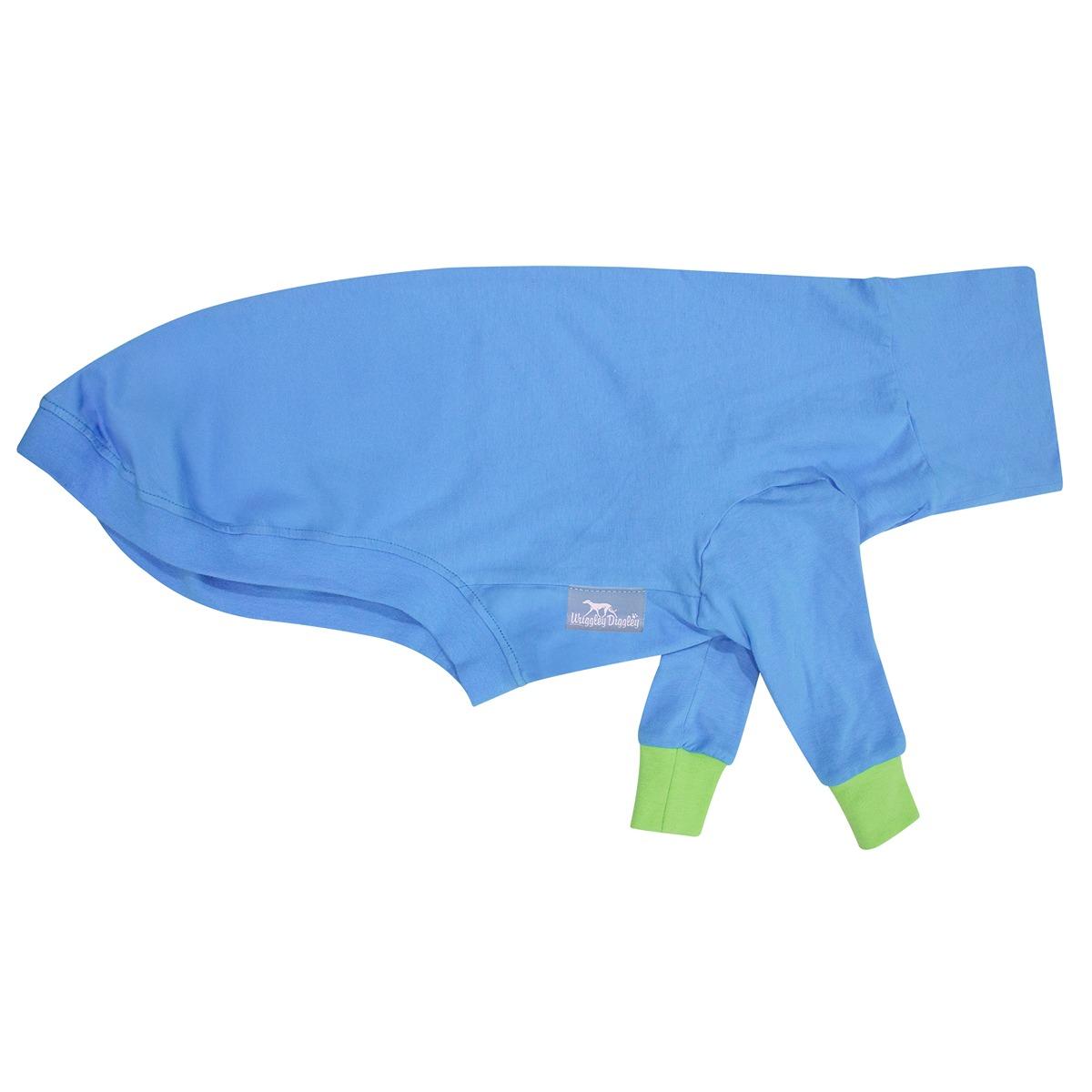 Wriggley Diggley All Day Long Dog Jumper Blue/Lime Green