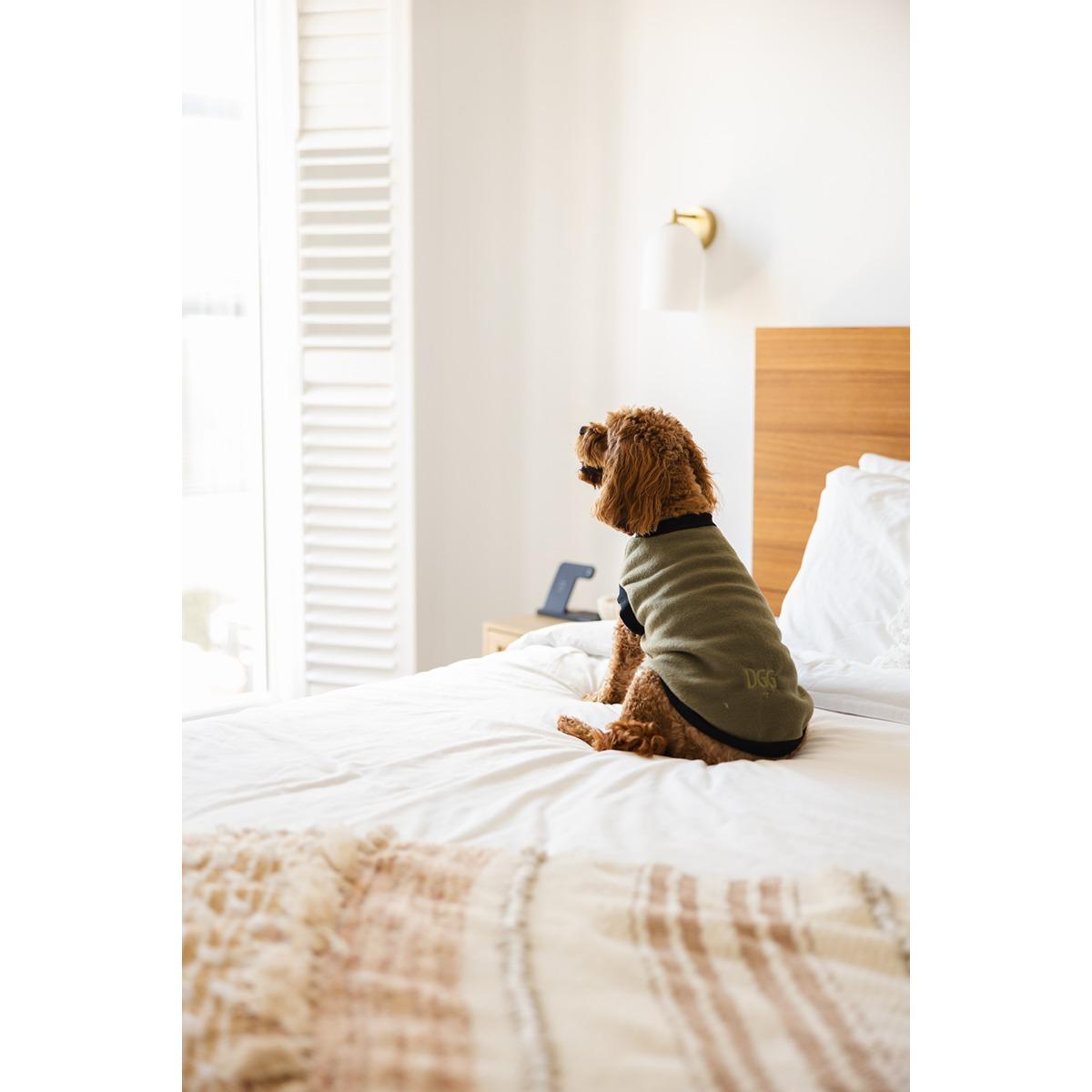 DGG Warmie Dog Jumper Khaki