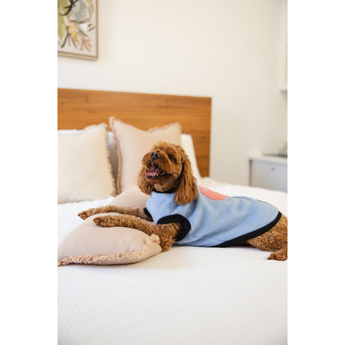 DGG Designer Warmie Dog Jumper Sparkley Snuggles
