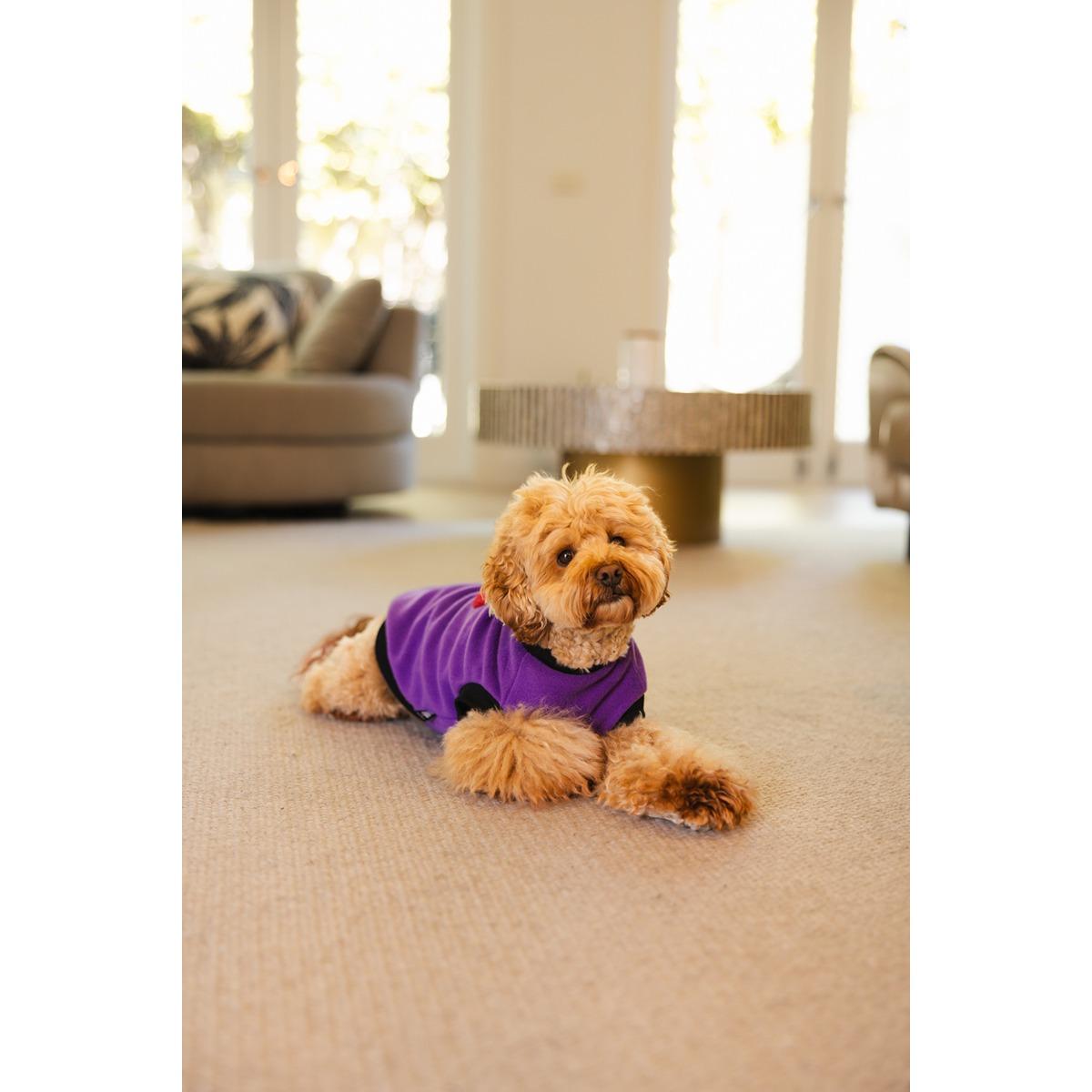 DGG Designer Warmie Dog Jumper My Love