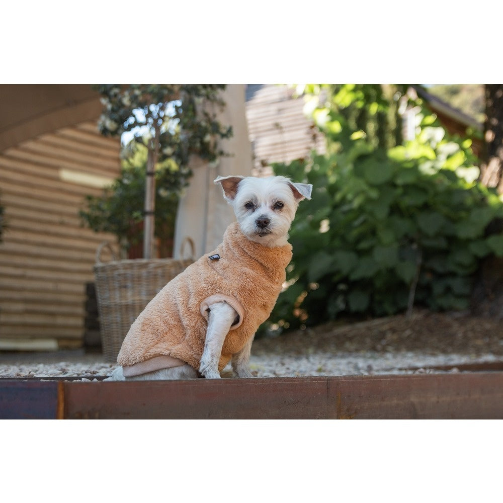 DGG Snuggly Dog Jumper Biscuit