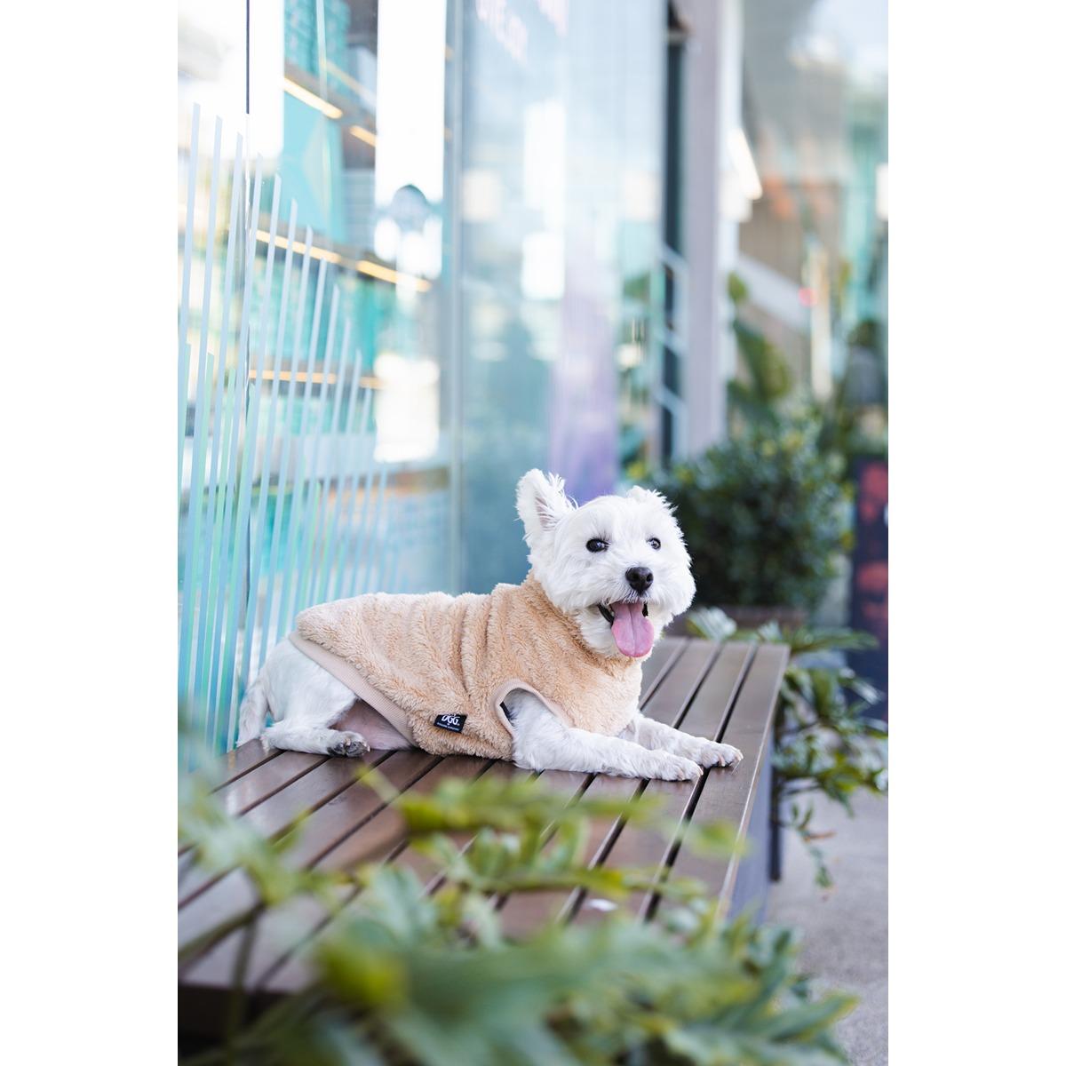 DGG Snuggly Dog Jumper Biscuit