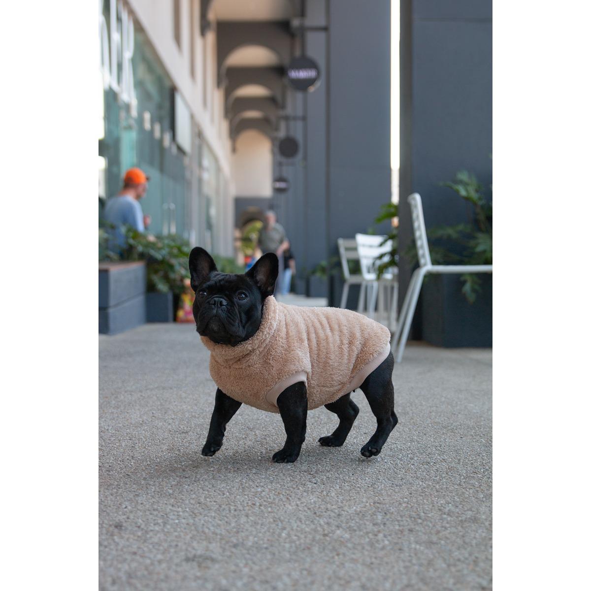 DGG Snuggly Dog Jumper Biscuit