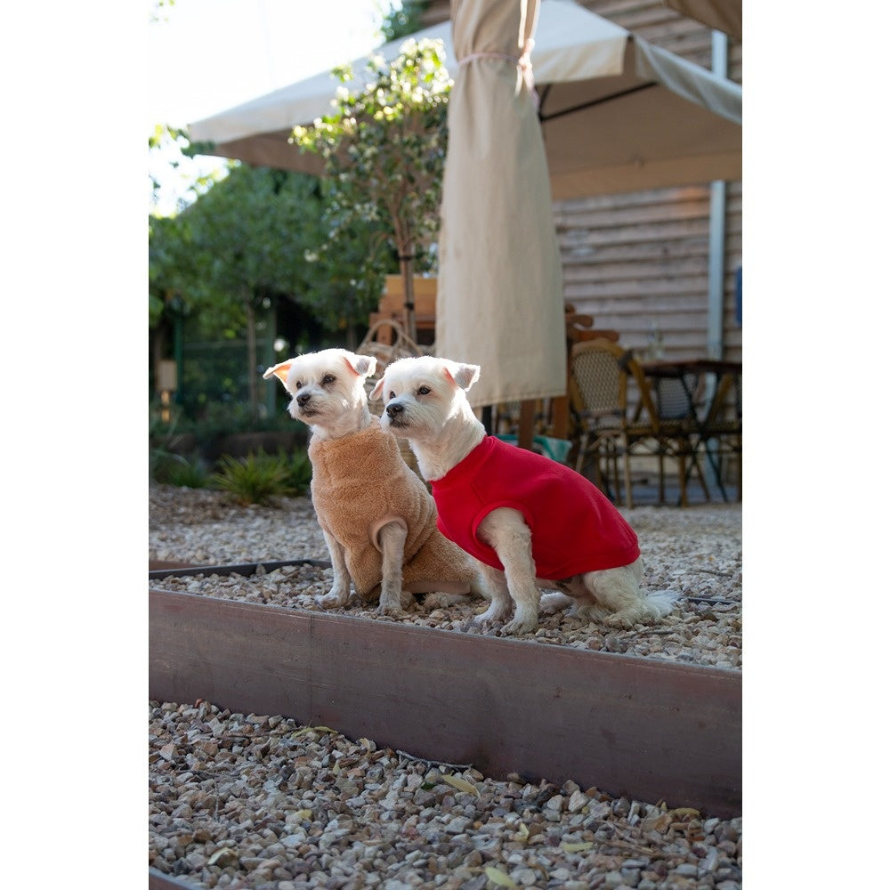 DGG Snuggly Dog Jumper Biscuit