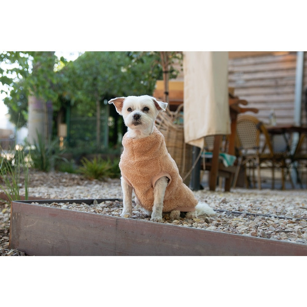 DGG Snuggly Dog Jumper Biscuit