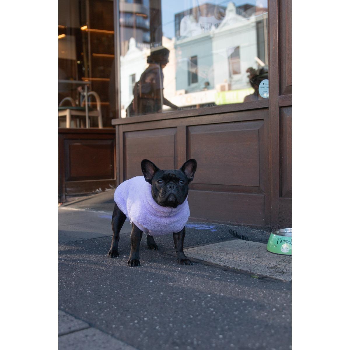DGG Snuggly Dog Jumper Lavender