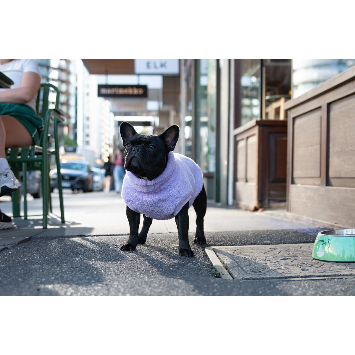 DGG Snuggly Dog Jumper Lavender