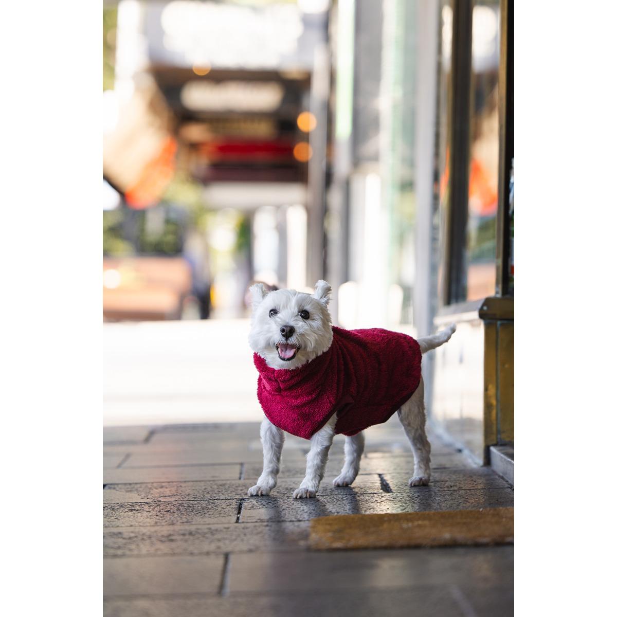 DGG Snuggly Dog Jumper Merlot