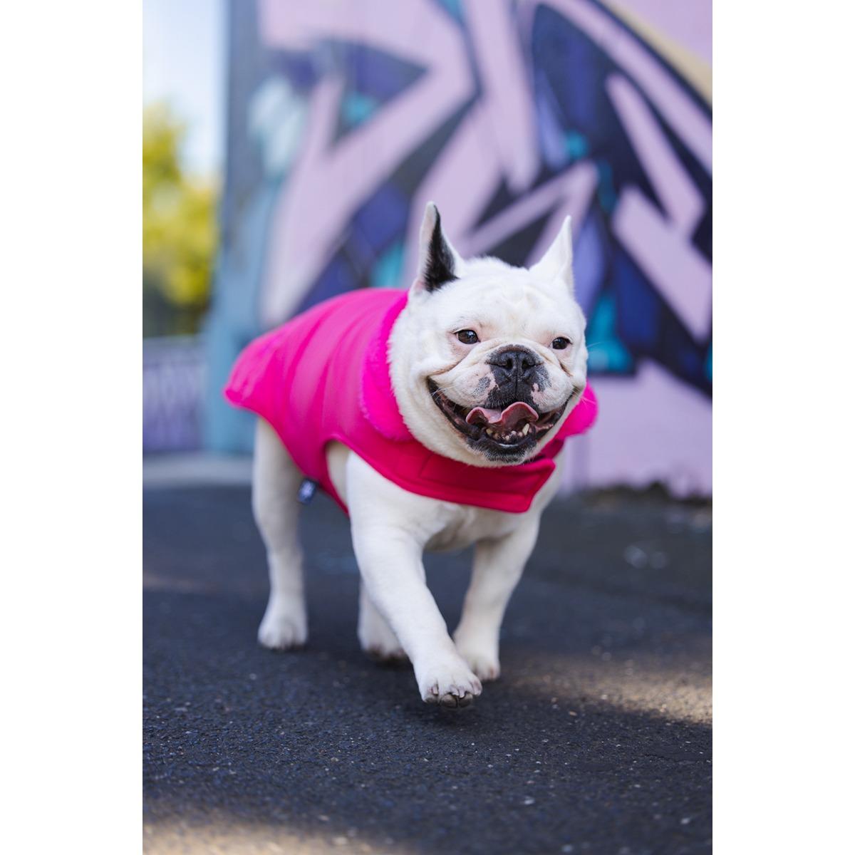 DGG Puffer Dog Jacket Stand Out Pink