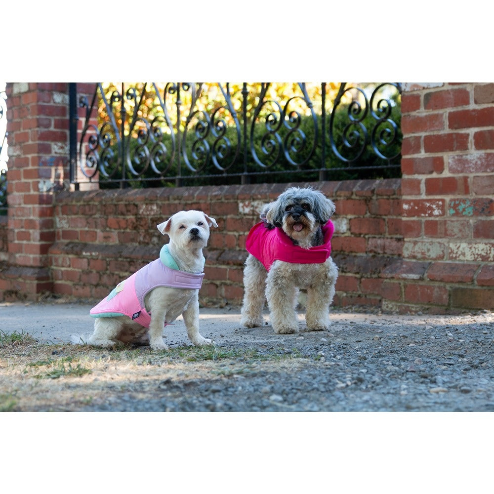 DGG Puffer Dog Jumper Stand Out Pink
