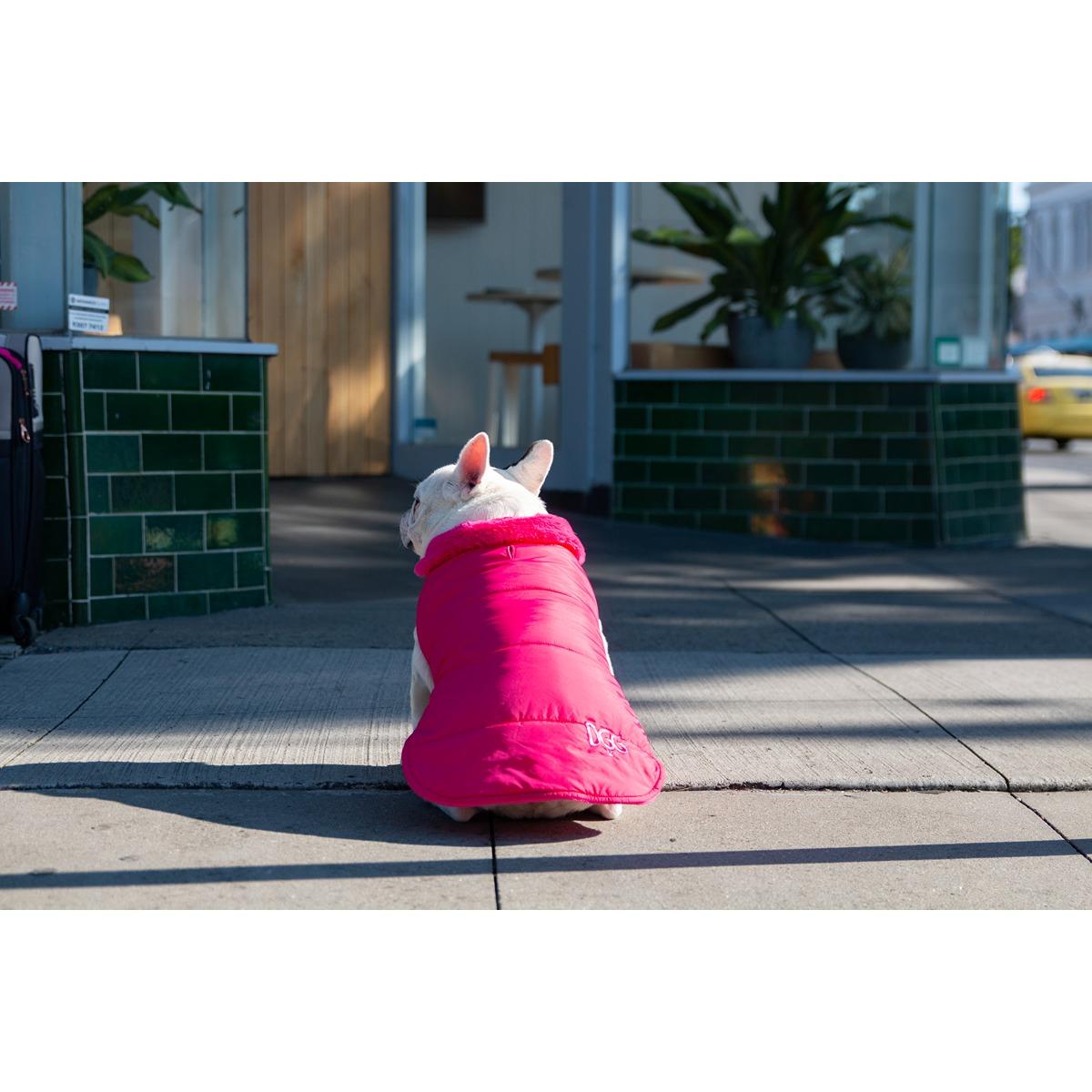 DGG Puffer Dog Jacket Stand Out Pink