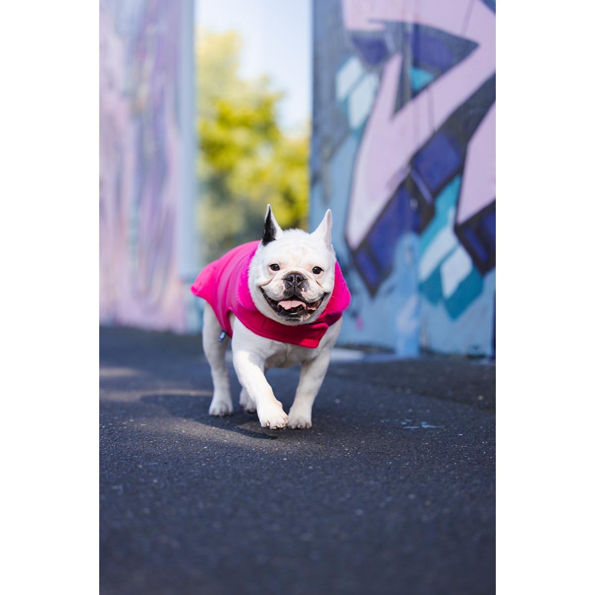 DGG Puffer Dog Jacket Stand Out Pink