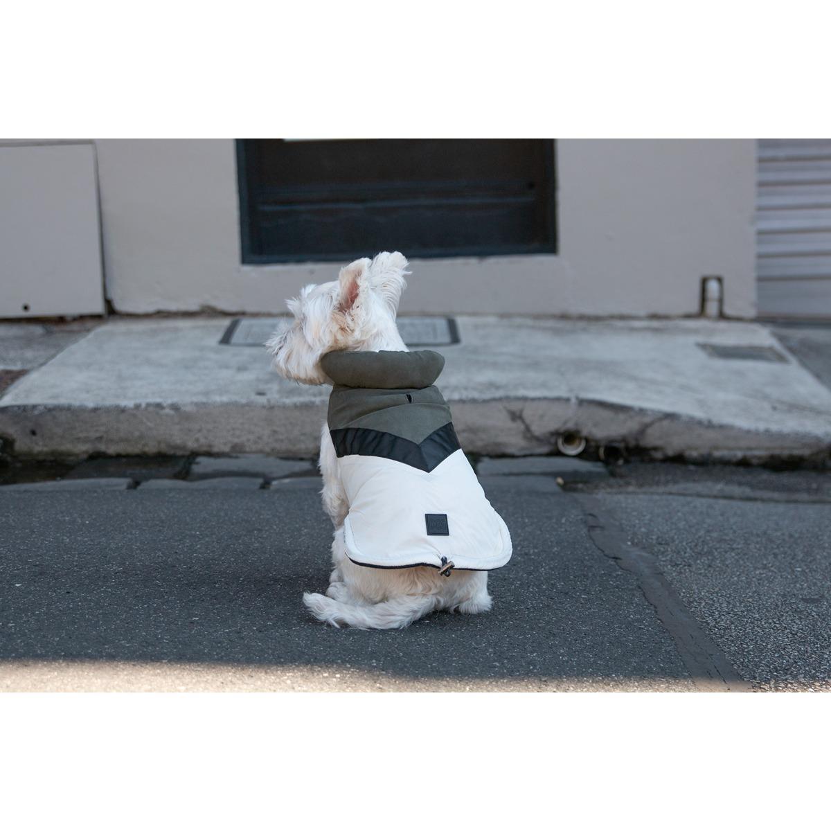 DGG Fashionista Dog Jacket Ventura