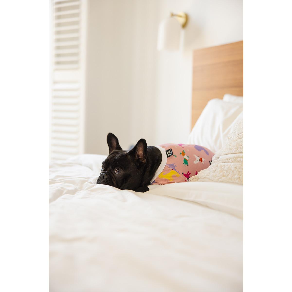 DGG Pyjama Dog Jumper Sweet Jammies