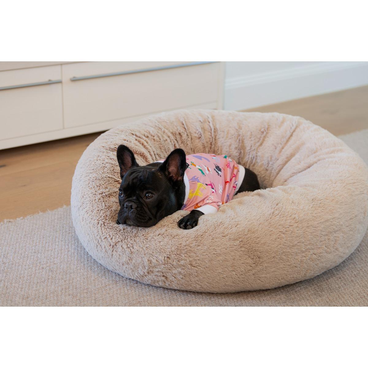 DGG Pyjama Dog Jumper Sweet Jammies