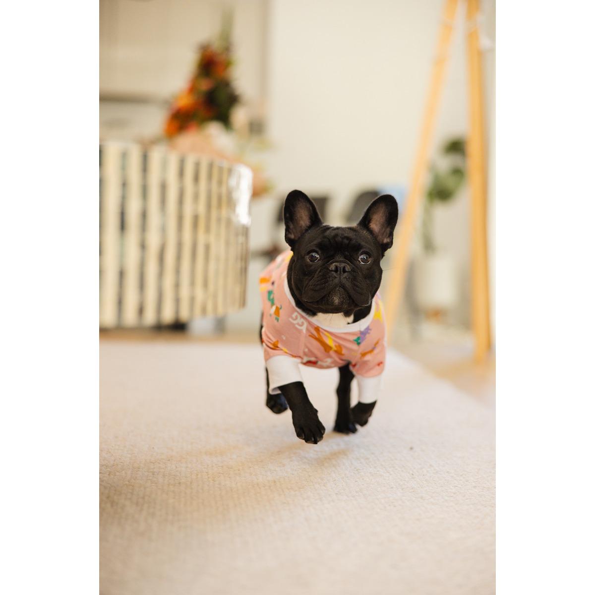 DGG Pyjama Dog Jumper Sweet Jammies