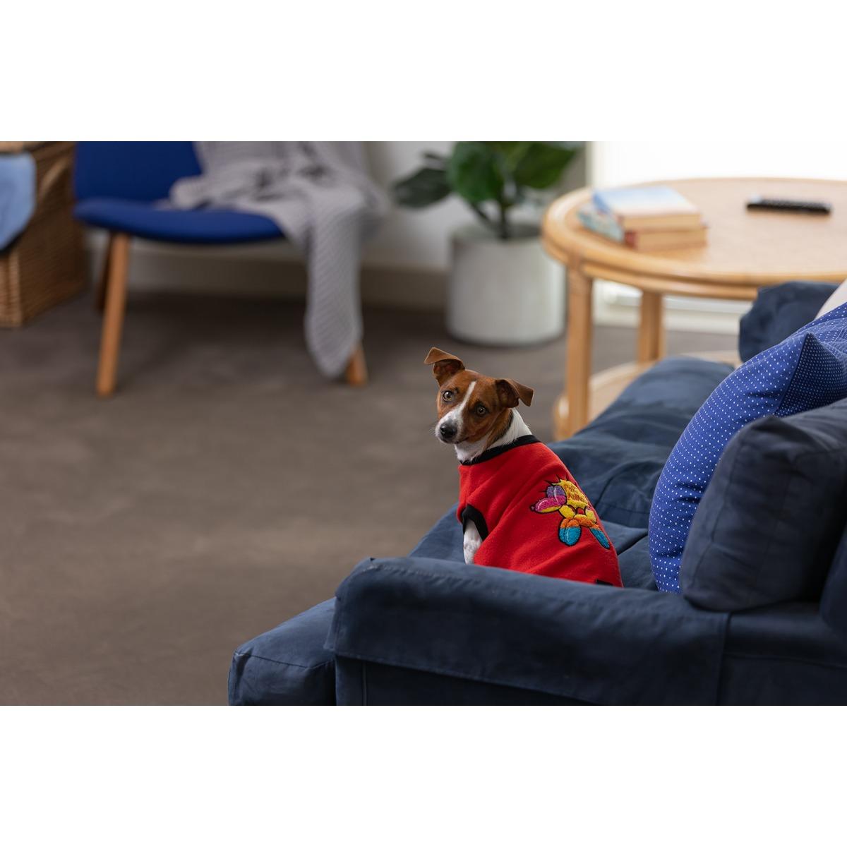 DGG Designer Warmie Dog Jumper Party Animal
