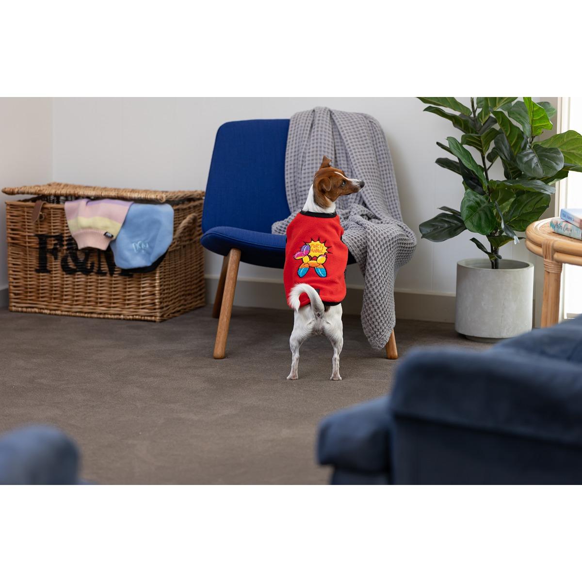 DGG Designer Warmie Dog Jumper Party Animal