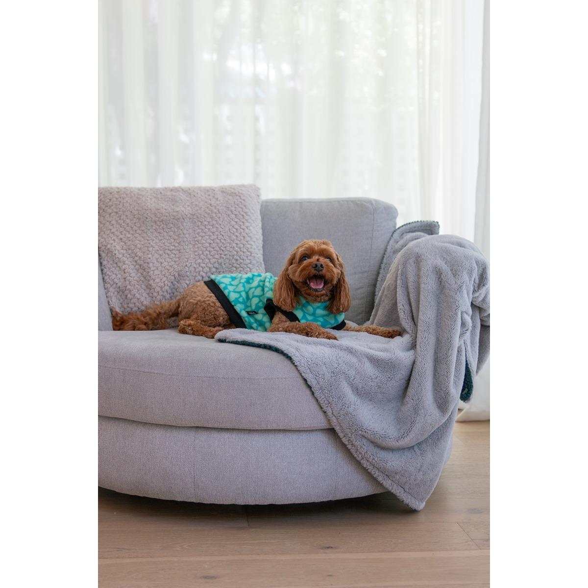 DGG Printed Warmie Dog Jumper Hearts