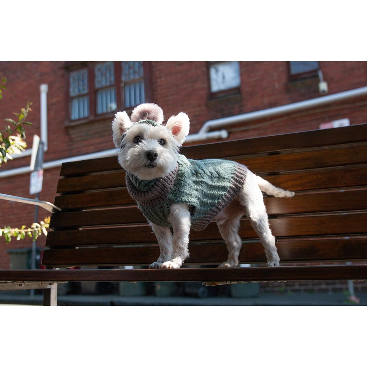 DGG Chunky Knit Dog Jumper Sage/Grey