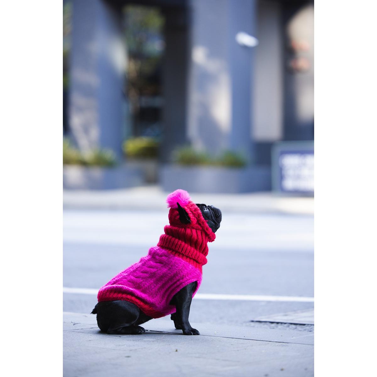 DGG Chunky Knit Dog Jumper Melon/Raspberry