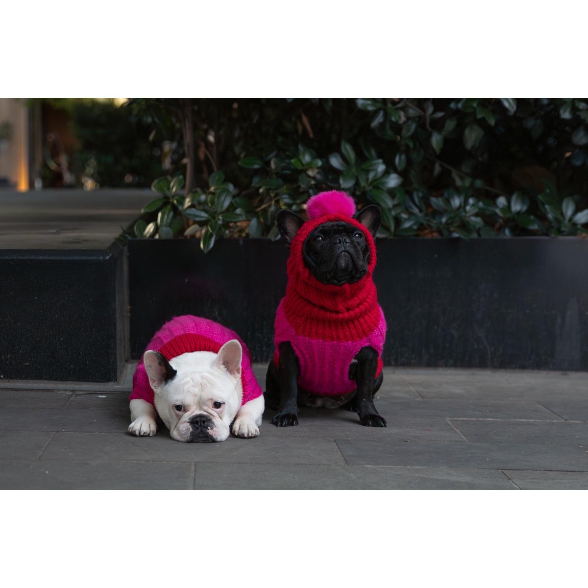 DGG Chunky Knit Dog Jumper Melon/Raspberry