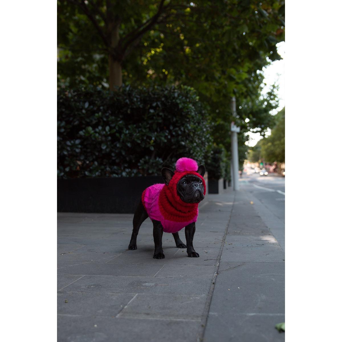 DGG Chunky Knit Dog Jumper Melon/Raspberry