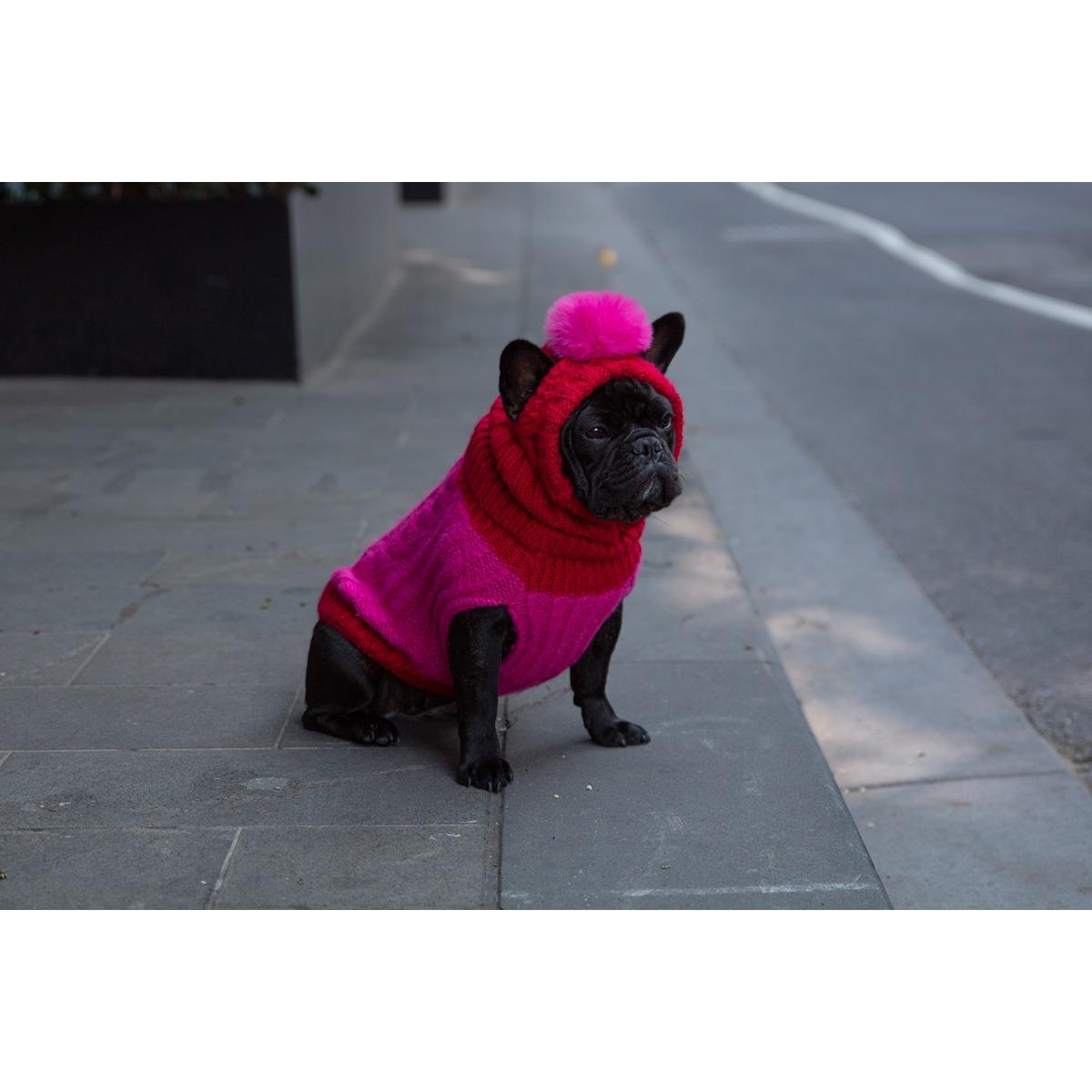 DGG Chunky Knit Dog Jumper Melon/Raspberry