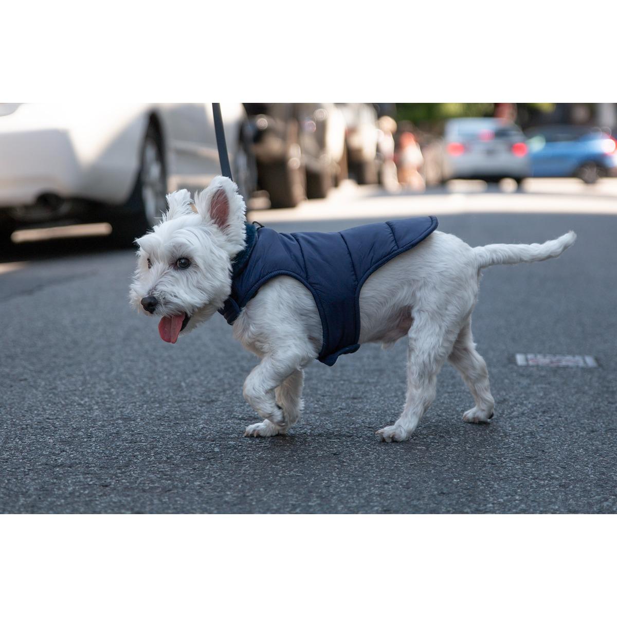 DGG Puffer Dog Jacket Navy