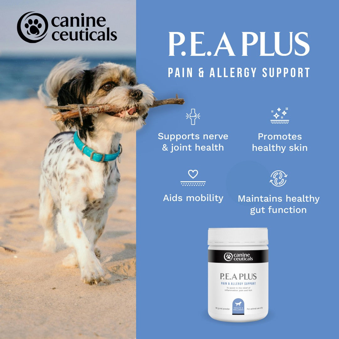 CanineCeuticals P.E.A. Plus 60g