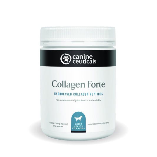 CanineCeuticals Collagen Forte 300g