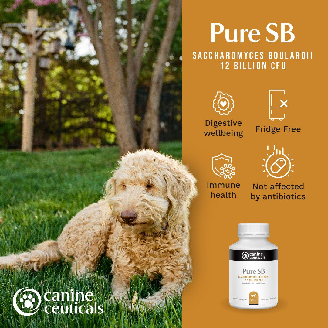 CanineCeuticals Pure SB 60 capsules