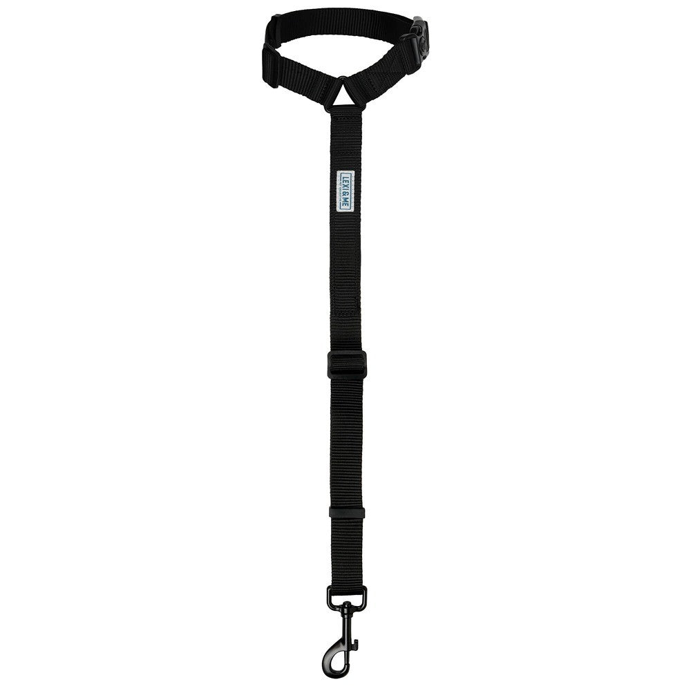 Lexi & Me Headrest Car Restraint