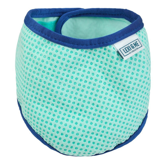 Lexi & Me Blue & Mint Cooling Bandana