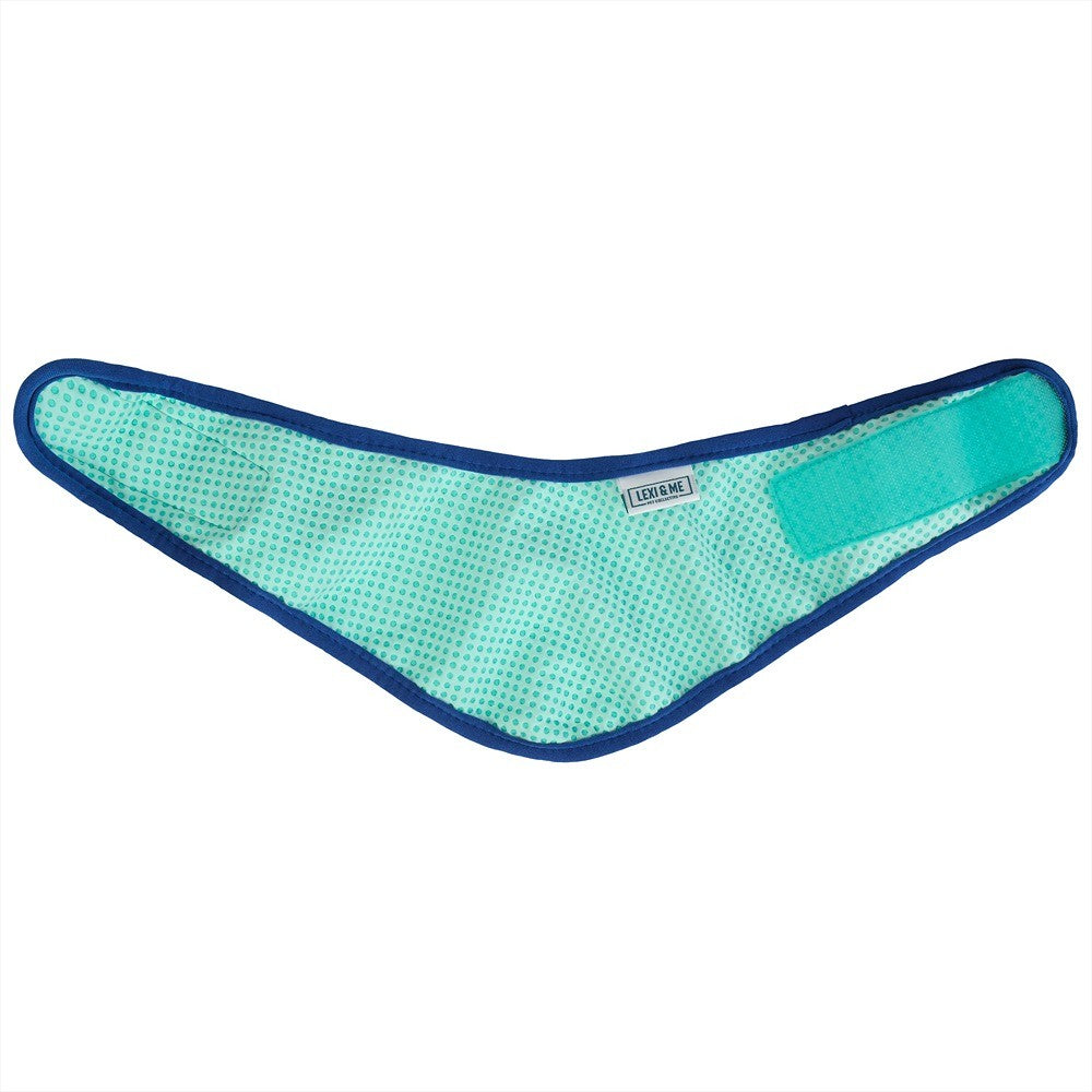 Lexi & Me Blue & Mint Cooling Bandana