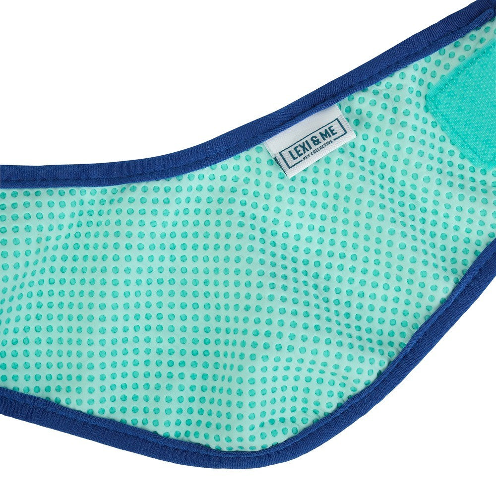 Lexi & Me Blue & Mint Cooling Bandana