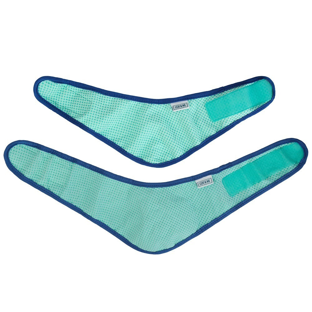 Lexi & Me Blue & Mint Cooling Bandana