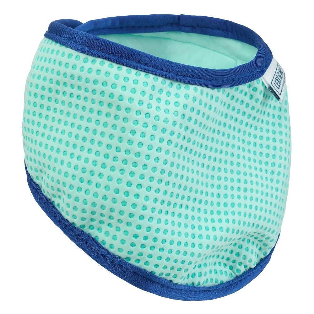 Lexi & Me Blue & Mint Cooling Bandana