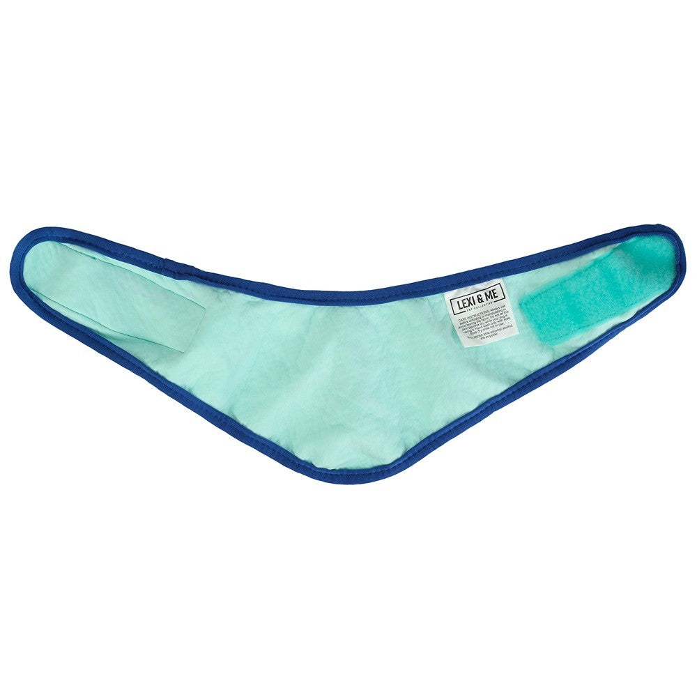 Lexi & Me Blue & Mint Cooling Bandana